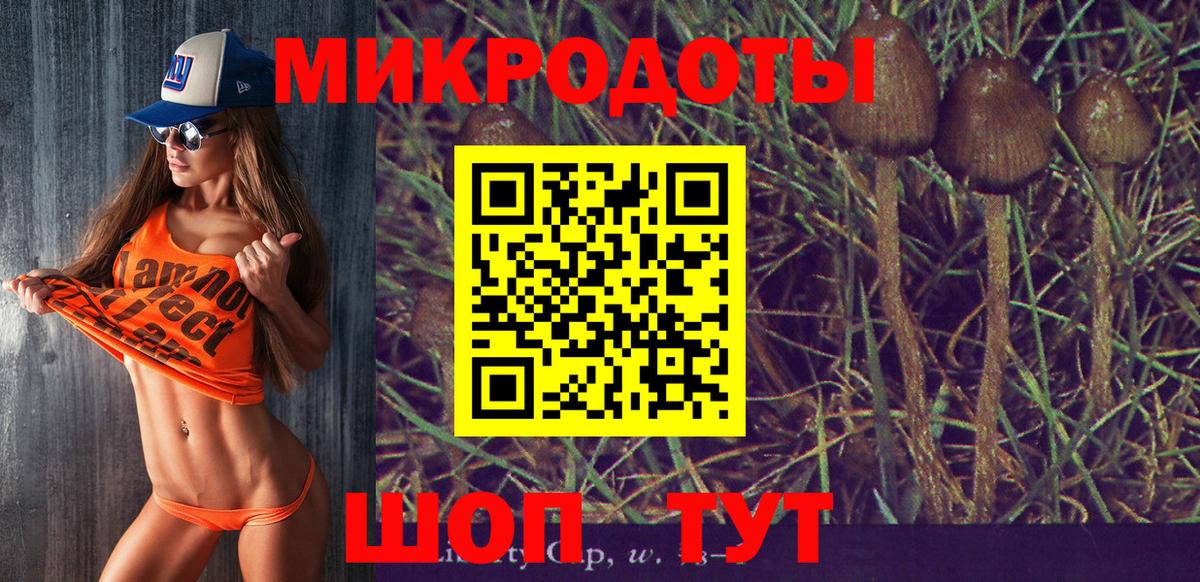 Рязань  Псилоцибиновые грибы MAGIC MUSHROOMS  Вход с VPN 